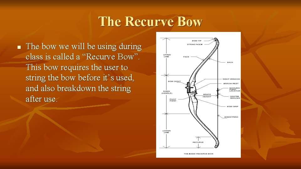 The Recurve Bow n The bow we will be using during class is called