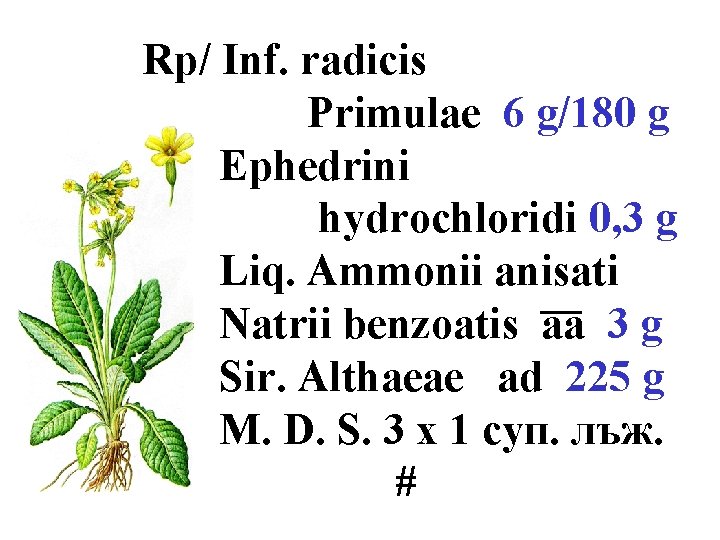 Rp/ Inf. radicis Primulae 6 g/180 g Ephedrini hydrochloridi 0, 3 g Liq. Ammonii