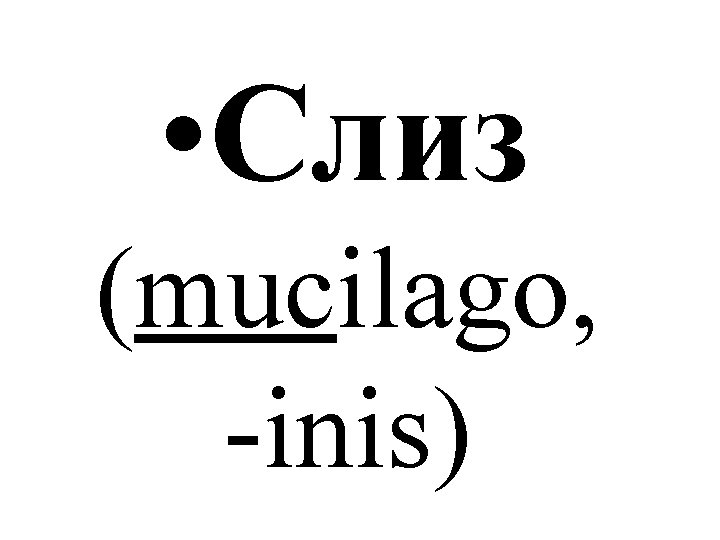  • Слиз (mucilago, -inis) 