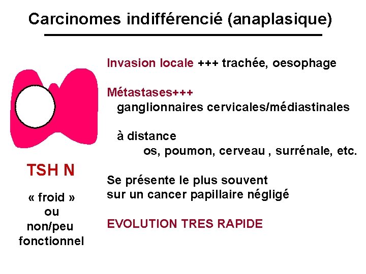 Carcinomes indifférencié (anaplasique) Invasion locale +++ trachée, oesophage Métastases+++ ganglionnaires cervicales/médiastinales à distance os,