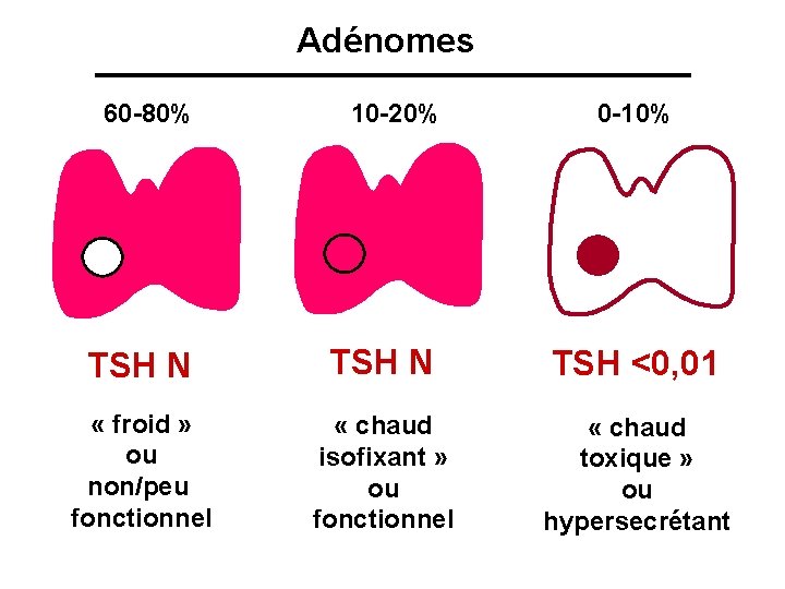 Adénomes 60 -80% 10 -20% 0 -10% TSH N TSH <0, 01 « froid