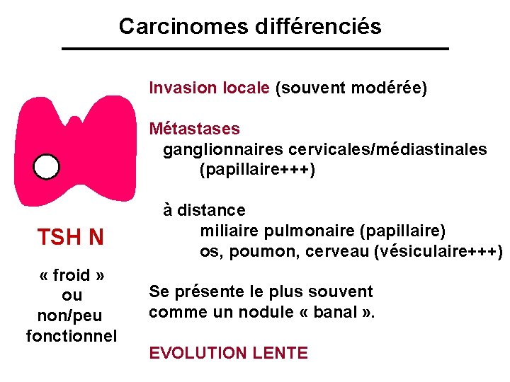 Carcinomes différenciés Invasion locale (souvent modérée) Métastases ganglionnaires cervicales/médiastinales (papillaire+++) TSH N « froid