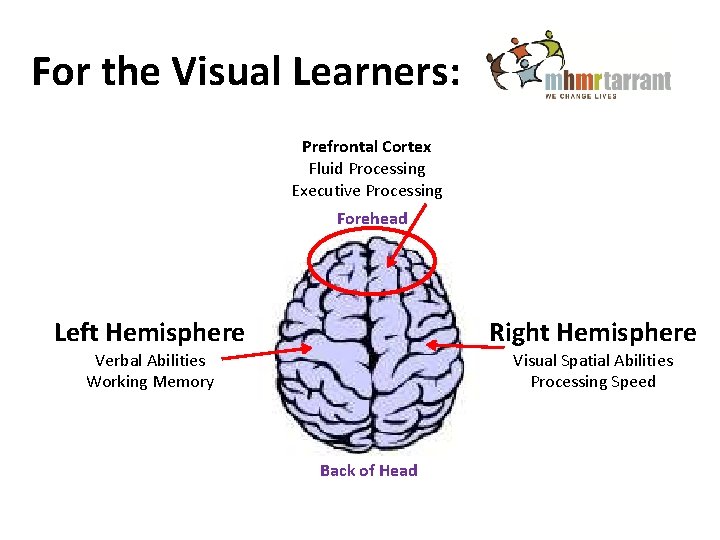 For the Visual Learners: Prefrontal Cortex Fluid Processing Executive Processing Forehead Left Hemisphere Right