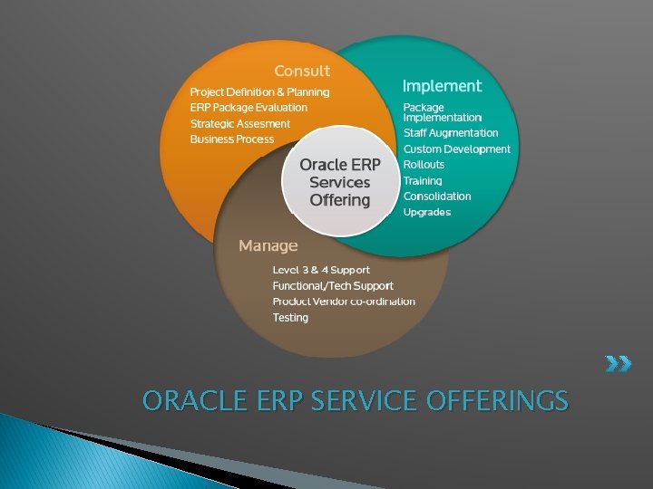 ORACLE ERP SERVICE OFFERINGS 