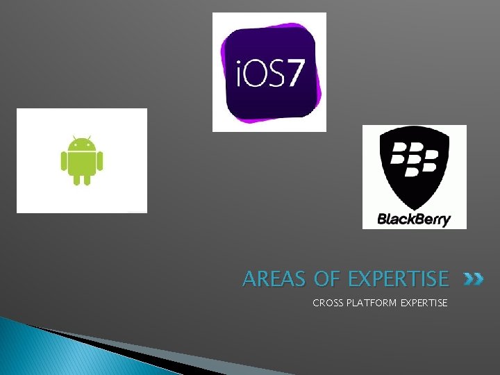 AREAS OF EXPERTISE CROSS PLATFORM EXPERTISE 