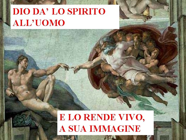 DIO DA’ LO SPIRITO ALL’UOMO E LO RENDE VIVO, A SUA IMMAGINE 