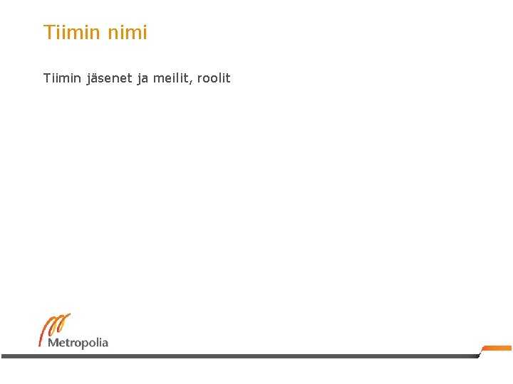 Tiimin nimi Tiimin jäsenet ja meilit, roolit 