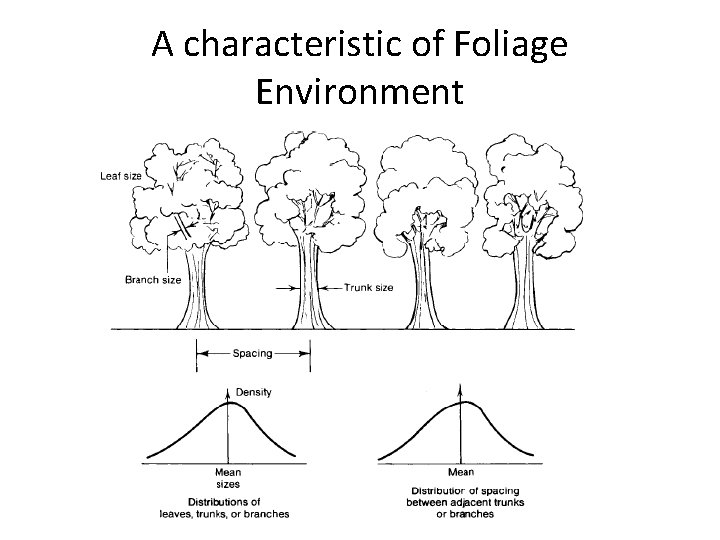 A characteristic of Foliage Environment 