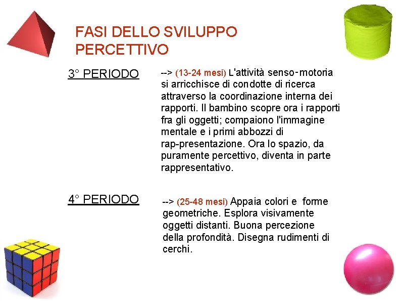 FASI DELLO SVILUPPO PERCETTIVO 3° PERIODO > (13 24 mesi) L'attività senso‑motoria 4° PERIODO