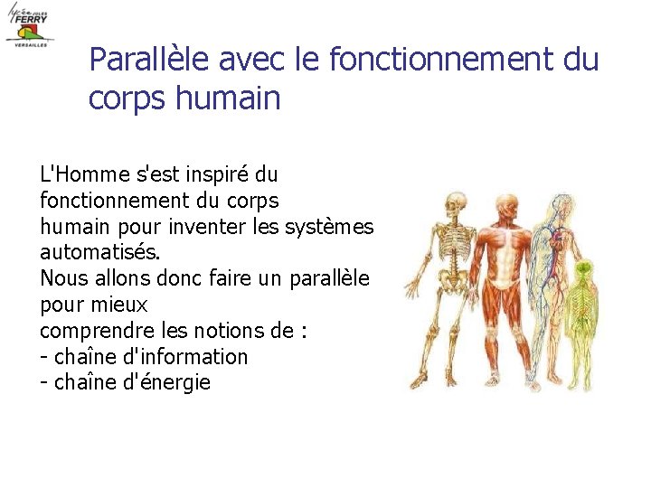 Parallèle avec le fonctionnement du corps humain L'Homme s'est inspiré du fonctionnement du corps