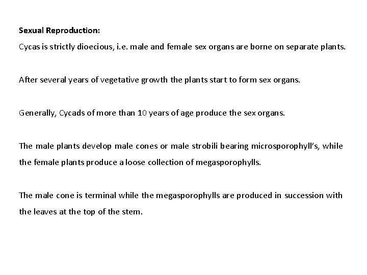 Sexual Reproduction: Cycas is strictly dioecious, i. e. male and female sex organs are Sexual Reproduction: Cycas is strictly dioecious, i. e. male and female sex organs are