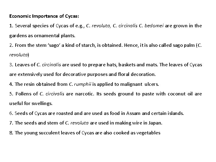 Economic Importance of Cycas: 1. Several species of Cycas of e. g. , C. Economic Importance of Cycas: 1. Several species of Cycas of e. g. , C.