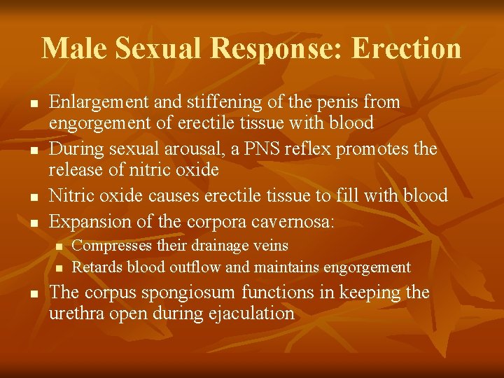 Male Sexual Response: Erection n n Enlargement and stiffening of the penis from engorgement