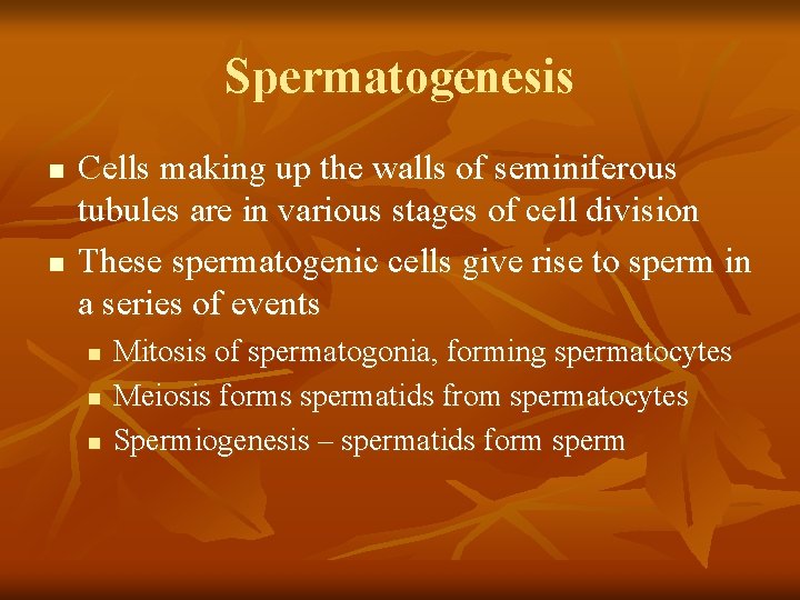 Spermatogenesis n n Cells making up the walls of seminiferous tubules are in various