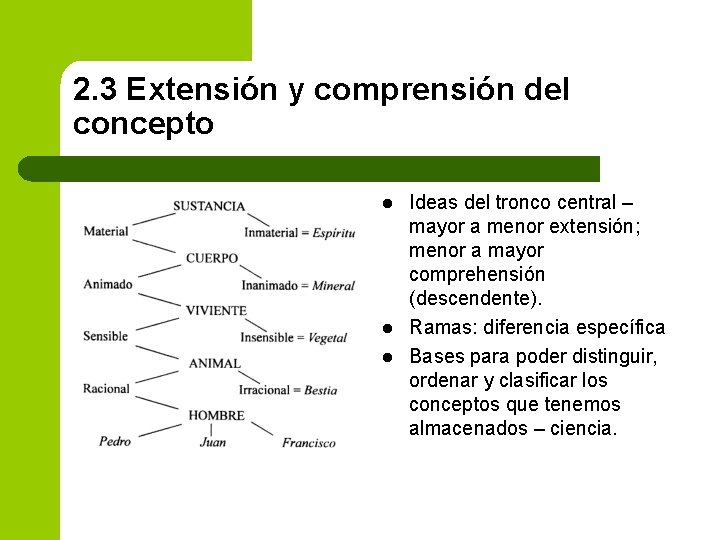 2. 3 Extensión y comprensión del concepto l l l Ideas del tronco central