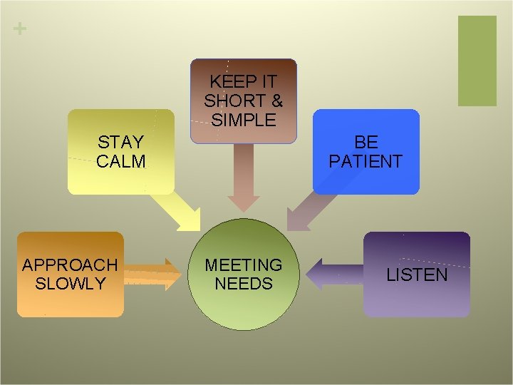 + KEEP IT SHORT & SIMPLE STAY CALM APPROACH SLOWLY BE PATIENT MEETING NEEDS