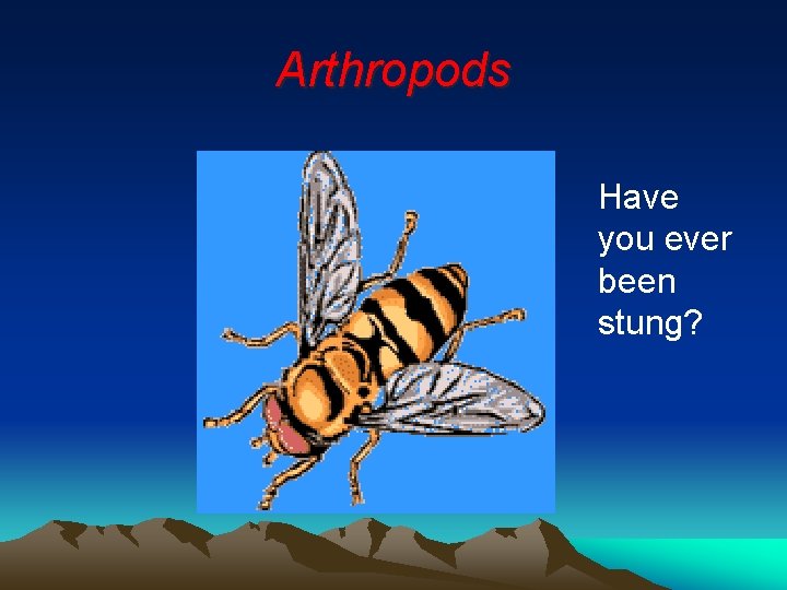 Arthropods Have you ever been stung? 