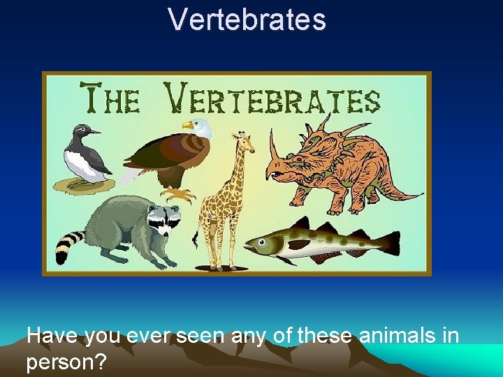 Vertebrates Have you ever seen any of these animals in person? 