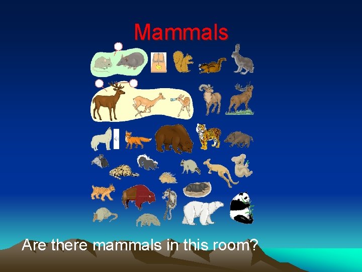 Mammals Are there mammals in this room? 
