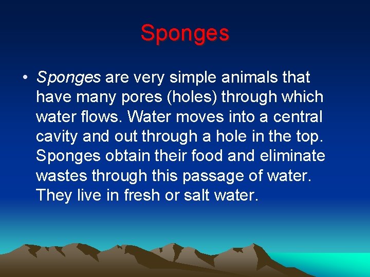 Sponges • Sponges are very simple animals that have many pores (holes) through which