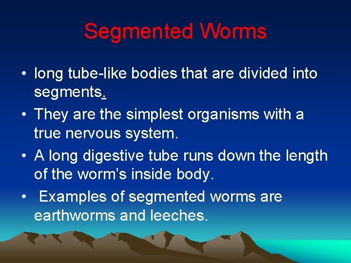 Segmented Worms • long tube-like bodies that are divided into segments. • They are