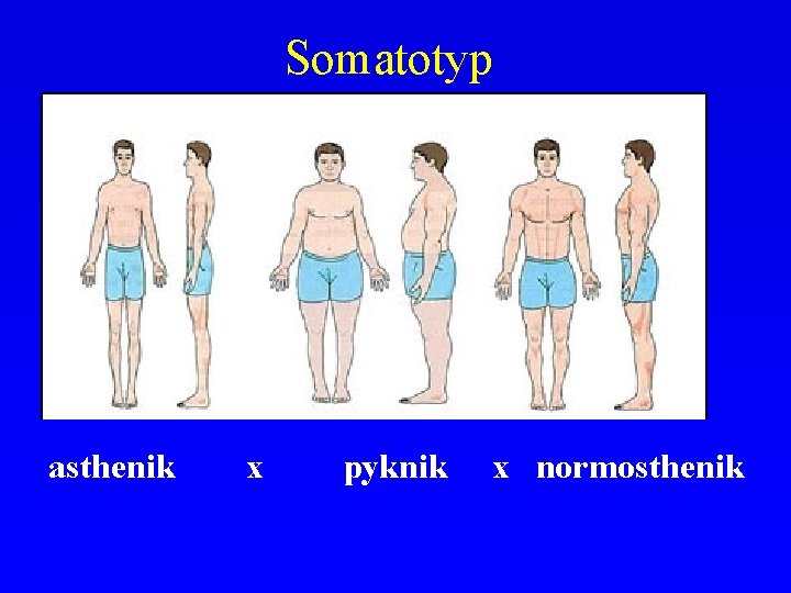 Somatotyp asthenik x pyknik x normosthenik 