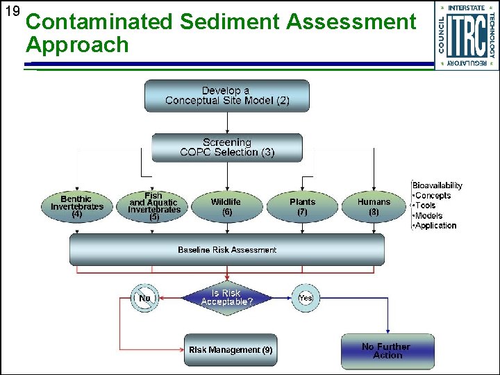 19 Contaminated Sediment Assessment Approach 