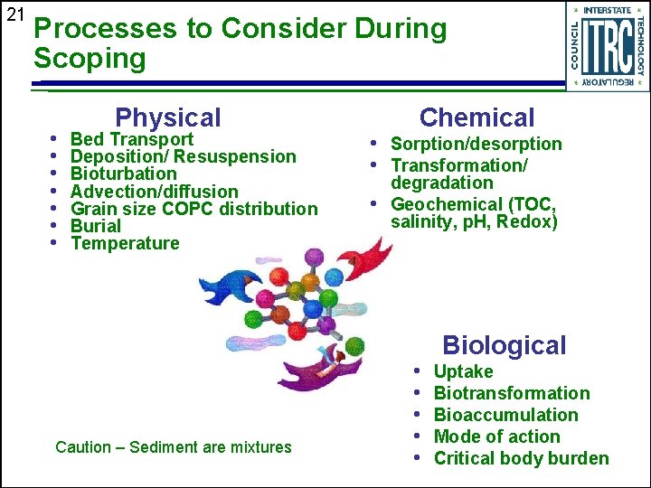 21 Processes to Consider During Scoping • • Physical Bed Transport Deposition/ Resuspension Bioturbation