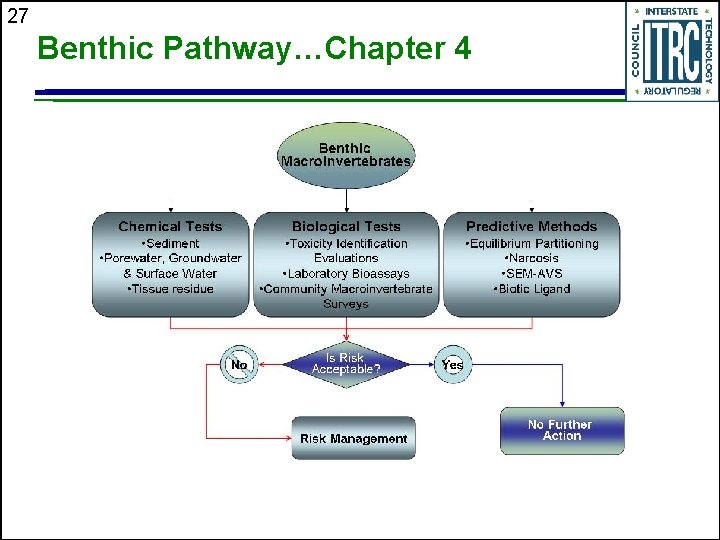 27 Benthic Pathway…Chapter 4 