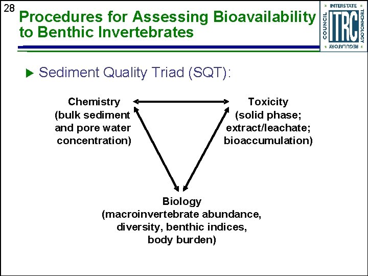 28 Procedures for Assessing Bioavailability to Benthic Invertebrates u Sediment Quality Triad (SQT): Chemistry
