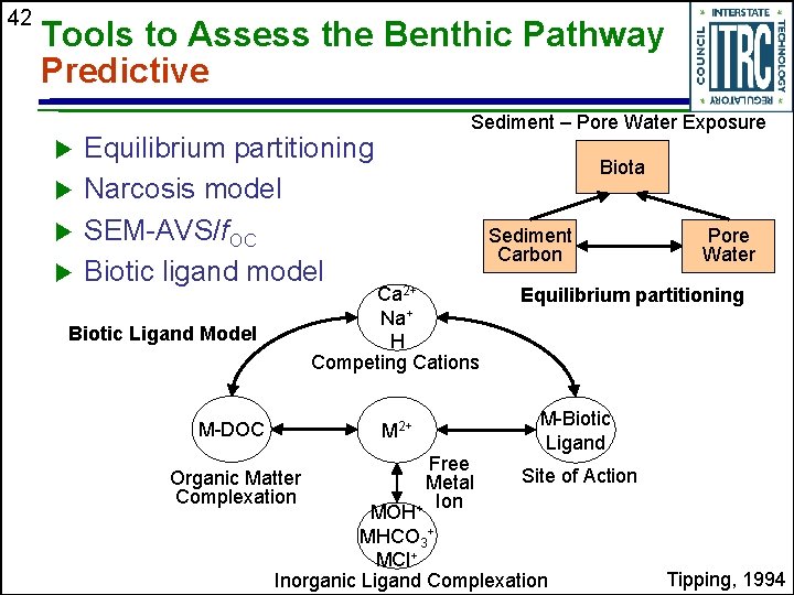 42 Tools to Assess the Benthic Pathway Predictive u u Sediment – Pore Water