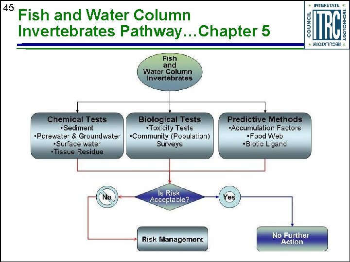 45 Fish and Water Column Invertebrates Pathway…Chapter 5 