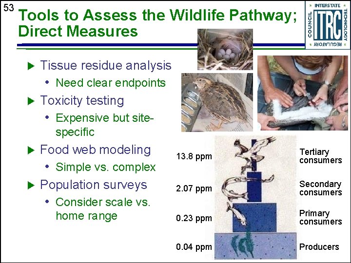 53 Tools to Assess the Wildlife Pathway; Direct Measures u Tissue residue analysis •