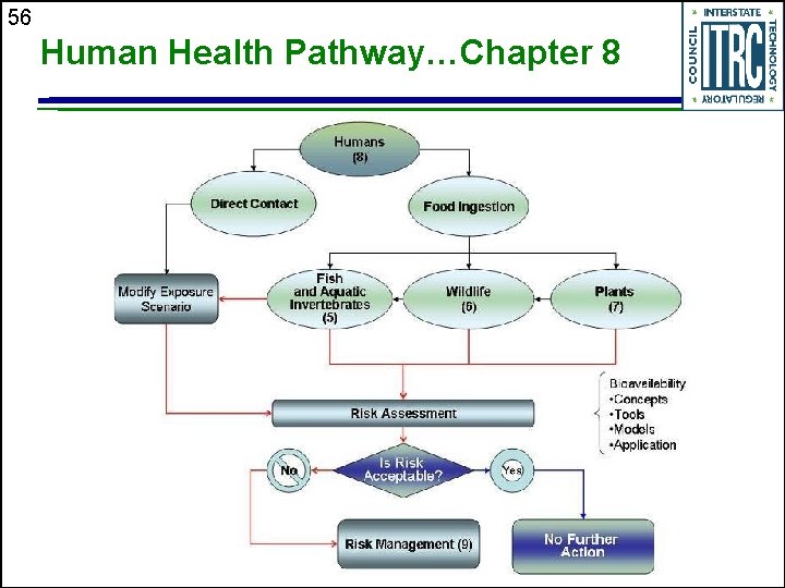 56 Human Health Pathway…Chapter 8 
