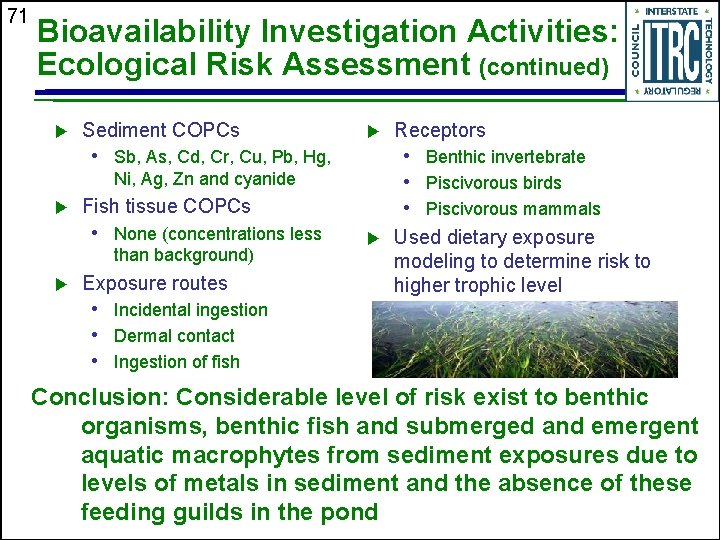 71 Bioavailability Investigation Activities: Ecological Risk Assessment (continued) u Sediment COPCs u • Sb,