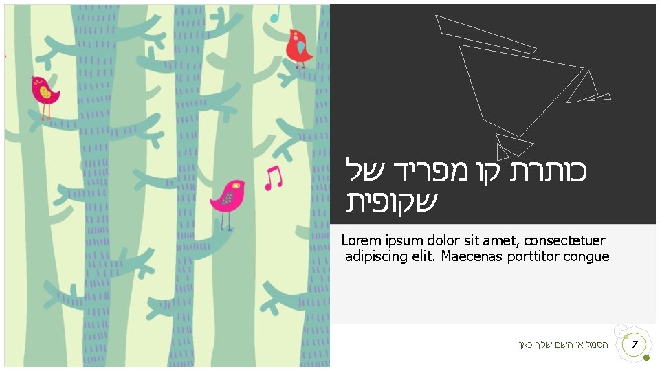  כותרת קו מפריד של שקופית Lorem ipsum dolor sit amet, consectetuer adipiscing elit.