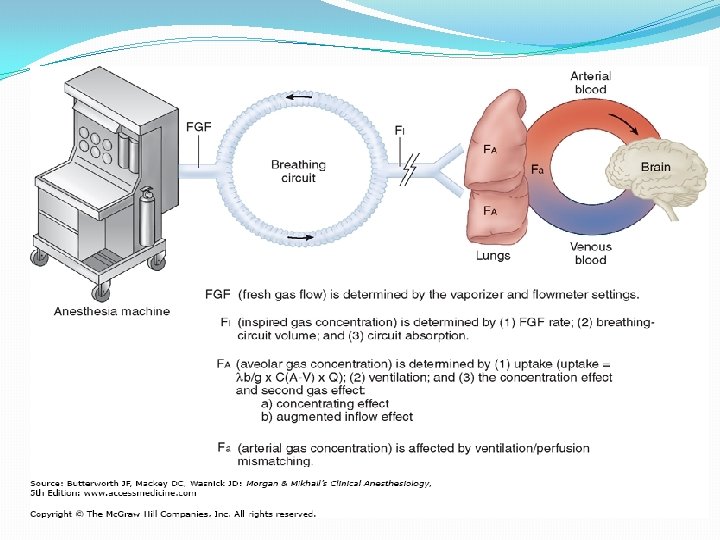 Inhalation Anesthetics Dr ashraf aldmour Anesthesia icu specialist