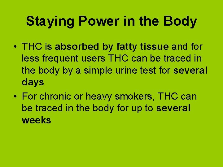 Staying Power in the Body • THC is absorbed by fatty tissue and for