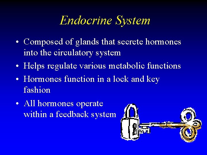 Endocrine System • Composed of glands that secrete hormones into the circulatory system • Endocrine System • Composed of glands that secrete hormones into the circulatory system •