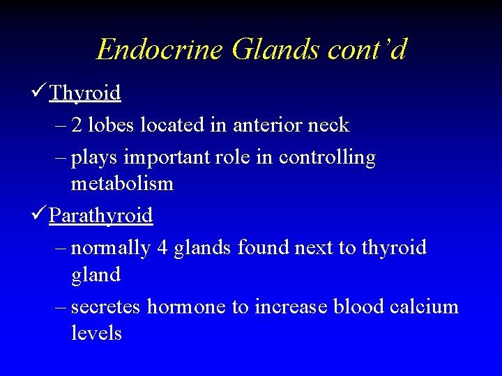 Endocrine Glands cont’d ü Thyroid – 2 lobes located in anterior neck – plays Endocrine Glands cont’d ü Thyroid – 2 lobes located in anterior neck – plays