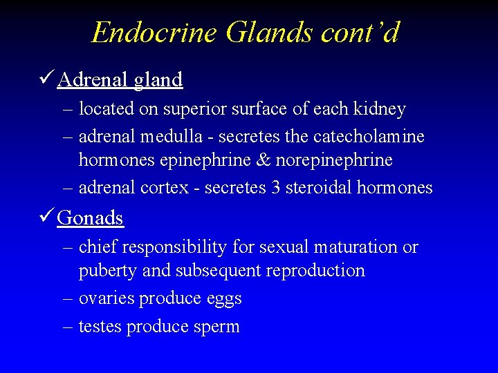 Endocrine Glands cont’d ü Adrenal gland – located on superior surface of each kidney Endocrine Glands cont’d ü Adrenal gland – located on superior surface of each kidney