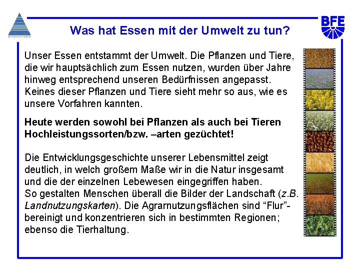 Was hat Essen mit der Umwelt zu tun? Unser Essen entstammt der Umwelt. Die