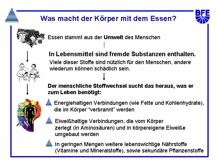 Was macht der Körper mit dem Essen? Essen stammt aus der Umwelt des Menschen