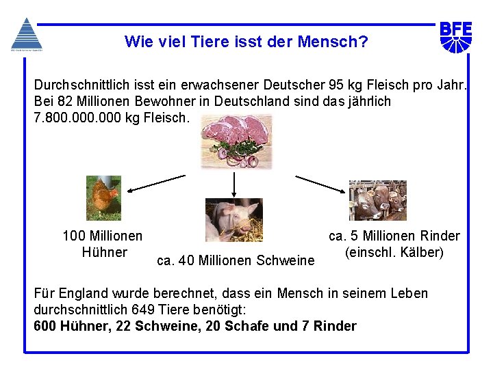 Wie viel Tiere isst der Mensch? Durchschnittlich isst ein erwachsener Deutscher 95 kg Fleisch