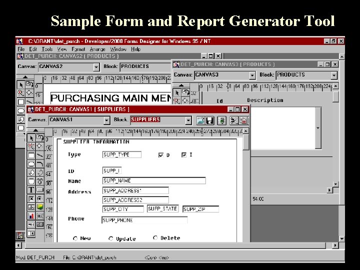 Sample Form and Report Generator Tool 