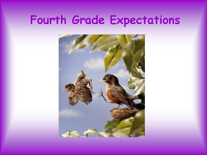 Fourth Grade Expectations 