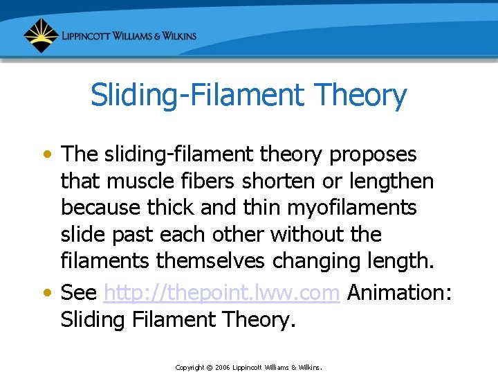 Sliding-Filament Theory • The sliding-filament theory proposes that muscle fibers shorten or lengthen because