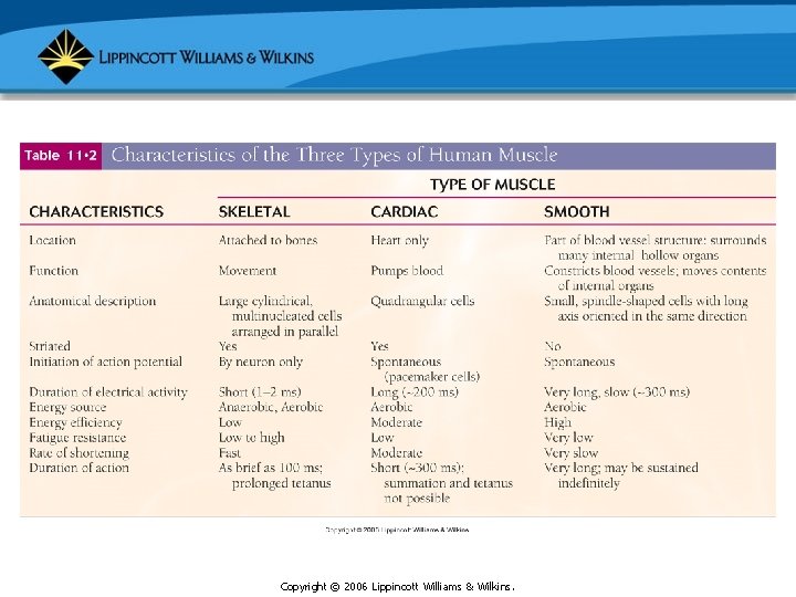 Copyright © 2006 Lippincott Williams & Wilkins. 