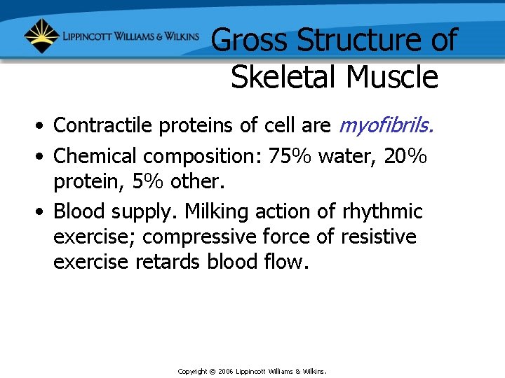 Gross Structure of Skeletal Muscle • Contractile proteins of cell are myofibrils. • Chemical