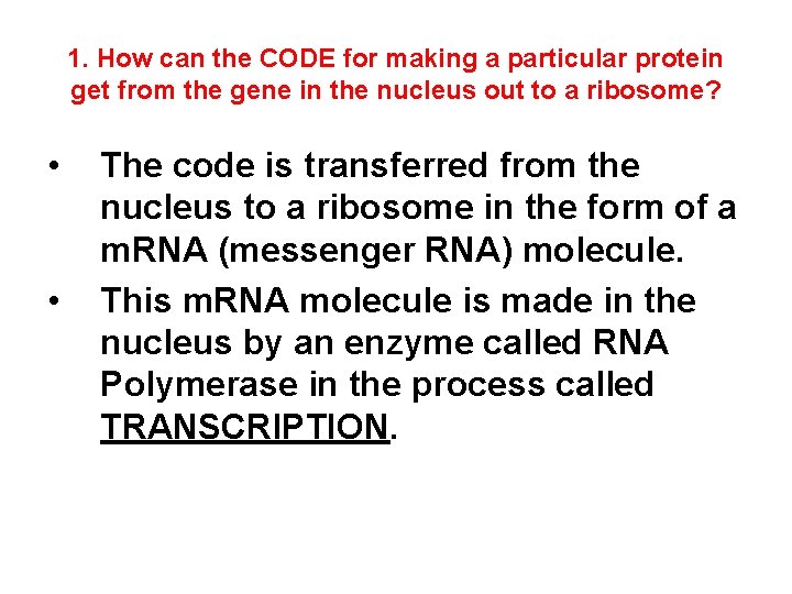 1. How can the CODE for making a particular protein get from the gene